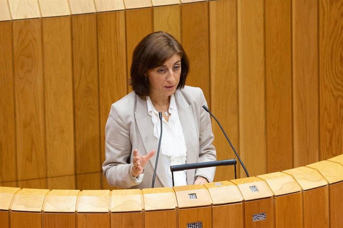 La conselleira Ángeles Vázquez comparece en el pleno.
