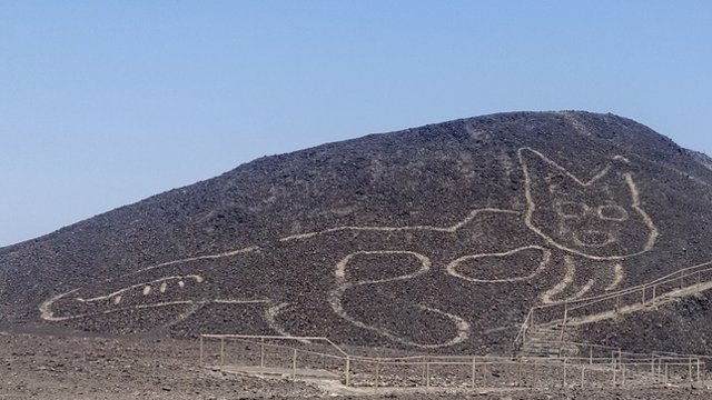 Aspecto del nuevo geoglifo de Nasca en forma de gato.