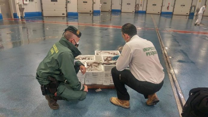 Inspección de la merluza intervenida en una distribuidora de Guarromán