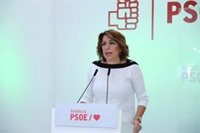 PSOE-A mantiene recurso en TC al decreto de simplificación porque "invade terrenos que tendrán impacto incalculable"