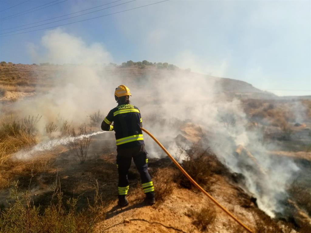 El Fuego Arrasa 62 904 Hectáreas En Lo Que Va De Año Hasta El 11 De