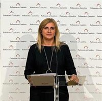 PSOE pide al alcalde de Cayón (PP) que dimita y a Buruaga que "dé explicaciones"