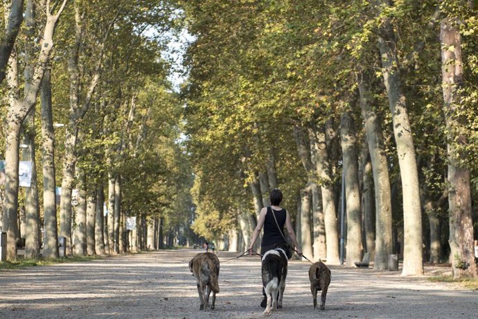 Una mujer pasea por un parque ubicado en Girona, Catalunya, (España), a 16 de septiembre de 2020. 