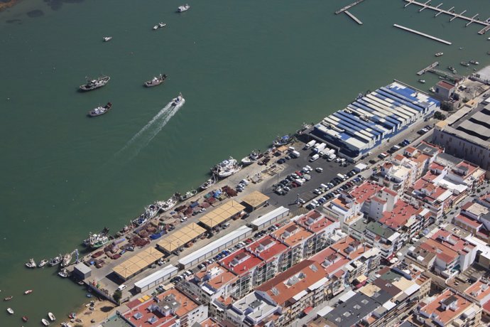 Huelva.- Adjudicadas las obras de nuevas depuradoras de moluscos en Isla Cristina y Punta Umbría