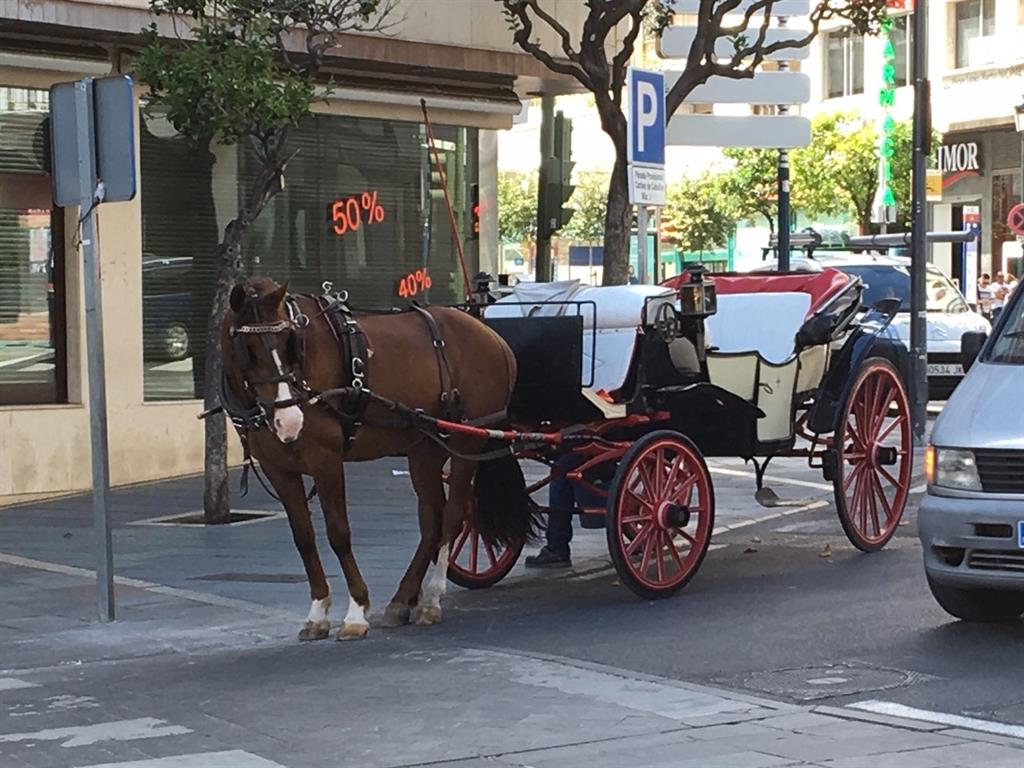 El Ayuntamiento de Marbella diseña un plan para revocar las licencias de coches de caballos en tres años 3 El Ayuntamiento de Marbella diseña un plan para revocar las licencias de coches de caballos en tres años 3