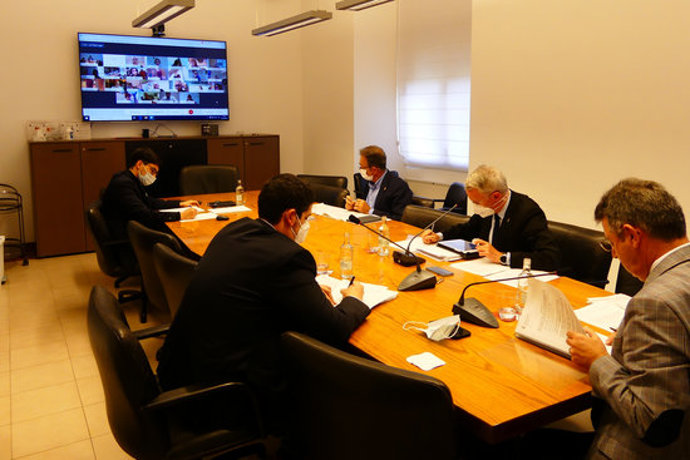 Pla general del ple telemtic de la Diputació de Girona aquest 20 d'octubre del 2020. (Horitzontal)