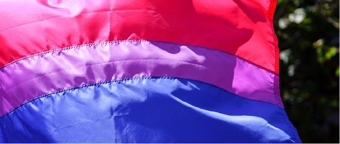 Bandera de la bisexualidad