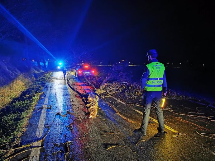 Imagen de una carretera afectada por la caída de árboles.