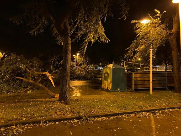 Daños en Cartaya por el temporal.