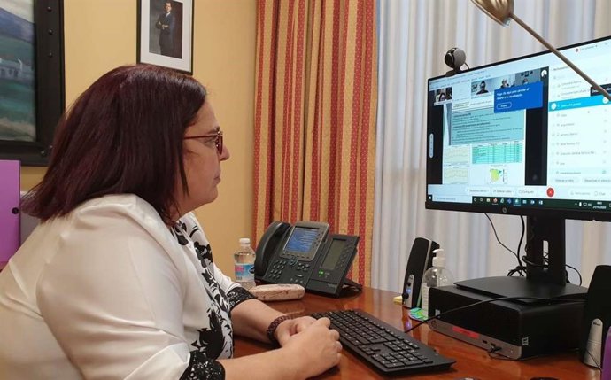 La consejera de Agricultura, Desarrollo Rural, Población y Territorio, Begoña García Bernal, presidiendo por videoconferencia el Comité de Dirección del Infoex