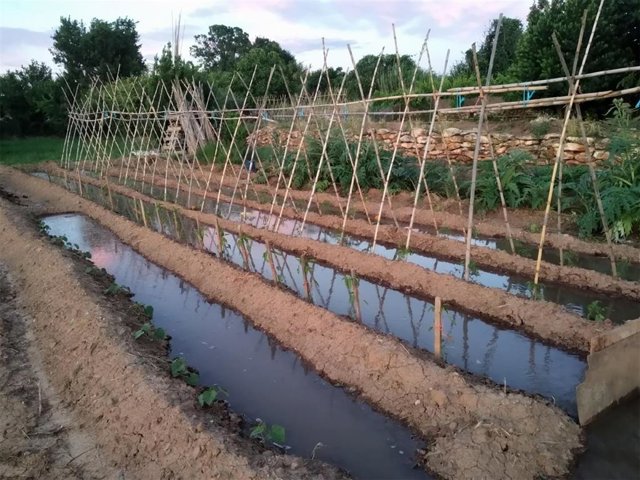 La iniciativa se denomina 'Plantero de parolas de l'ortal'