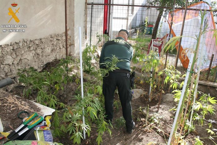 Laboratorio de cultivo desmantelado.