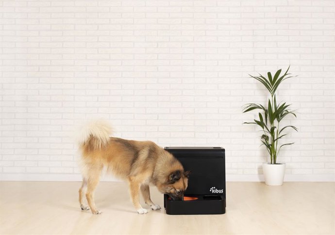 Kibus Petcare cierra ronda de financiación de 350.000 para lanzar un aparato qu