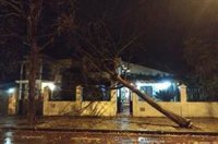 Isla Cristina (Huelva) valora los daños causados por el viento, que derriba árboles y techos de instalaciones