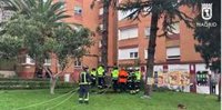 Bomberos retiran un enorme árbol que por efecto del viento cayó sobre un edificio del barrio de Canillas