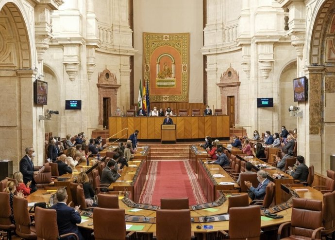 Pleno del Parlamento andaluz durante el Debate sobre el estado de la Comunidad