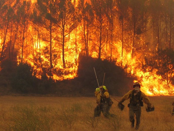 Una Brigada de Lucha contra Incendios Forestales del MITECO lucha contra un incendio forestal.