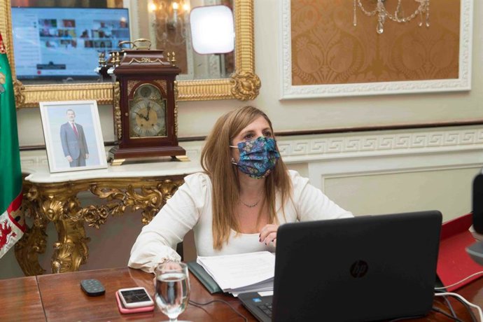 Pleno: Diputación Reclama Compensaciones A Los Municipios Con Servidumbres Militares Y Medidas Para Reducir Las Consecuencias Del Brexit / Préstamo Para 26 Vpo En Rota/ Apoyo A Alestis