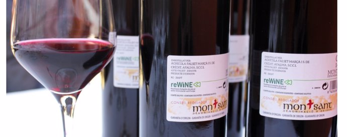 El proyecto reWINE constata que el sector vitivinícola catalán podría reducir un 28% su huella de carbono con la reutilización de botellas.