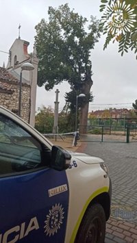 El viento rompe un olmo centenario en Pinto, que será clonado por el Imidra