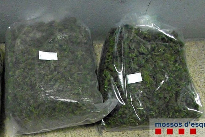 Part de la droga intervinguda en les actuacions policials a la Jonquera i Figueres, en una imatge cedida aquest 22 d'octubre del 2020. (Horitzontal)