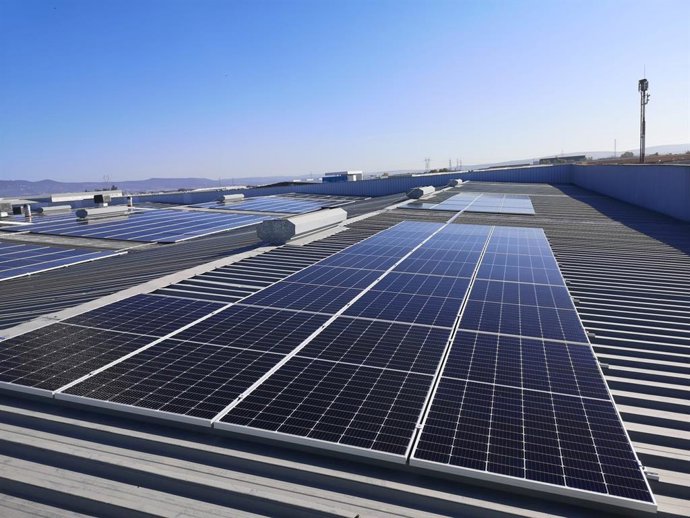 Córdoba.- Díaz Food Solutions, referente andaluz en distribución alimentaria, ap