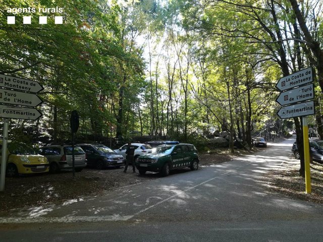 Desenes de cotxes aparcats en un bosc del Parc Natural del Montseny, que segons el Consorci Forestal de Catalunya ha patit una afluència sobredimensionada de visitants els darrers dies de restriccions sanitàries.