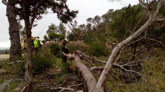 Daños en Sant Antoni tras el cap de fibló de octubre de 2019