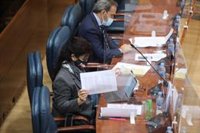 Diputada de Vox rechaza hablar de familias 'monomarentales' porque implicaría hacerlo de "monoabuelales o monocuñalales"