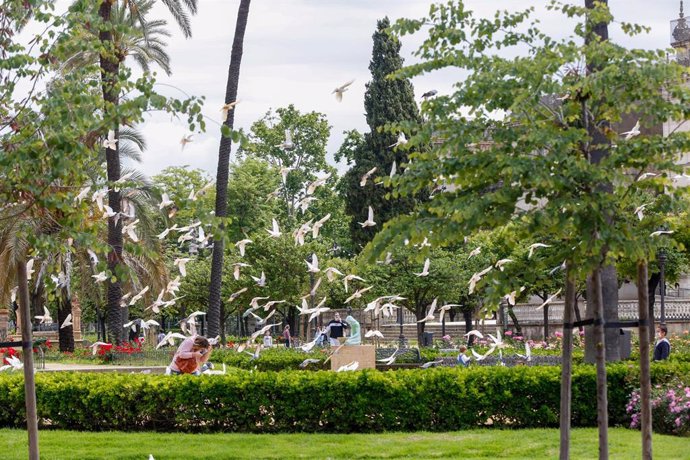 Plaza de América del Parque de Maria Luisa