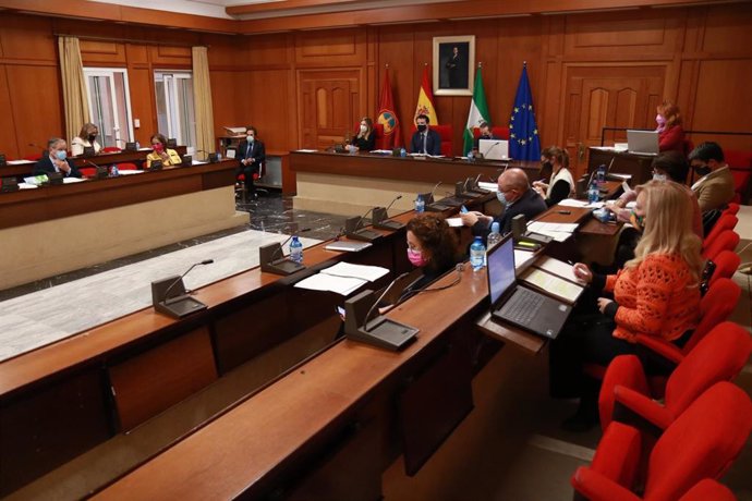 Celebración del Pleno del Ayuntamiento de Córdoba.