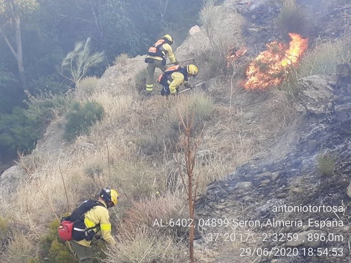 Bomberos forestales trabajando contra un incendio. Foto de archivo