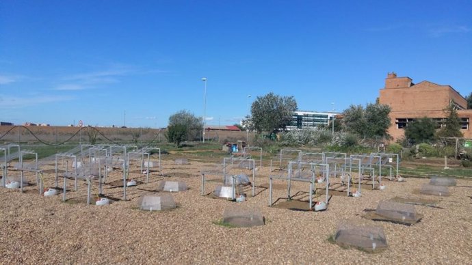 Sevilla.-El campus de la UPO se afianza como laboratorio para medir el impacto d