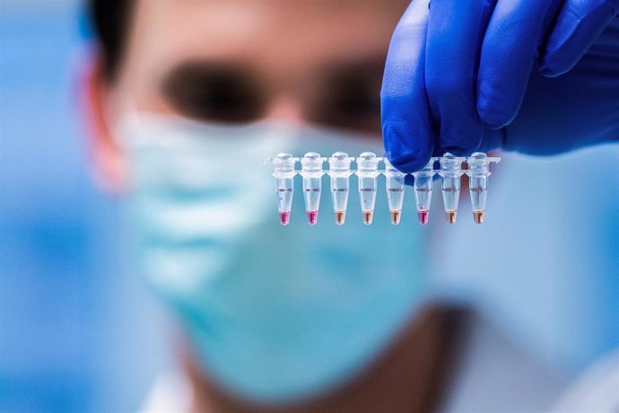 21 October 2020, Austria, Vienna: A laboratory employee examines coronavirus positive samples 