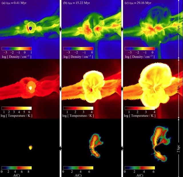 Secuencia de densidad, temperatura y abundancia de carbono para un modelo progenitor estelar