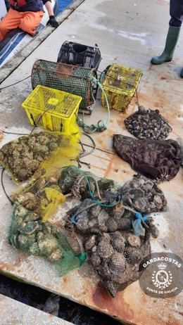 Marisco requisado en la ría de Ferrol