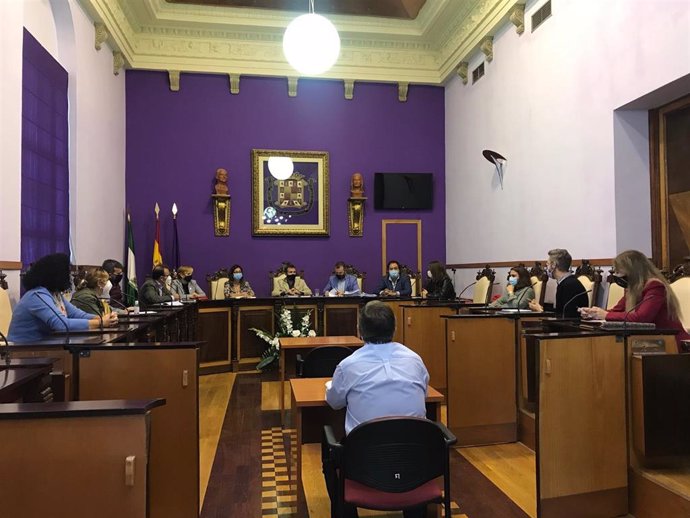 Reunión de la comisión técnico-política del Ayuntamiento de Jaén sobre la covid.