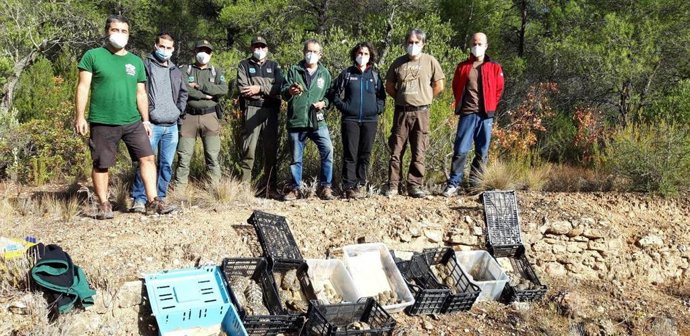 Expertos del CRARC, agentes rurales y personal del Parc Natural de Montsant liberando este viernes 233 ejemplares de tortuga mediterránea en este parque de la provincia de Tarragona.