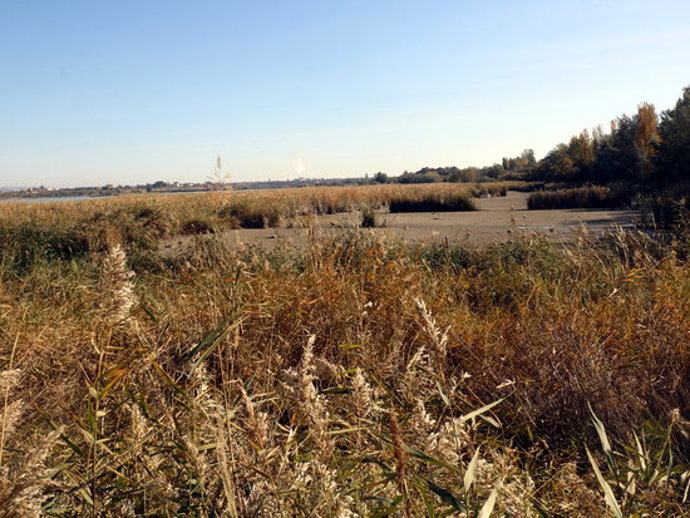 Pla general d'una part de l'estany d'Ivars i Vila-sana on es pot apreciar la baixada del nivell de l'aigua pel buidatge parcial que s'hi est fent, el 24 d'octubre de 2020. (Horitzontal)