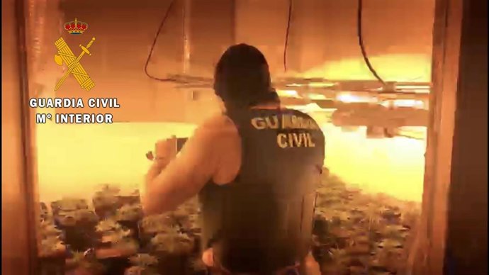 Droga intervenida por la Guardia Civil