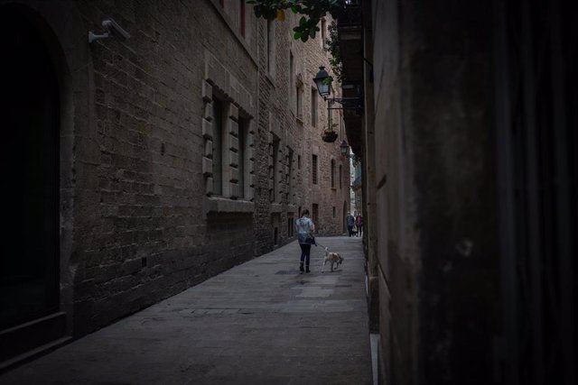 Una persona pasea a un perro por una calle del Barrio Gótico.