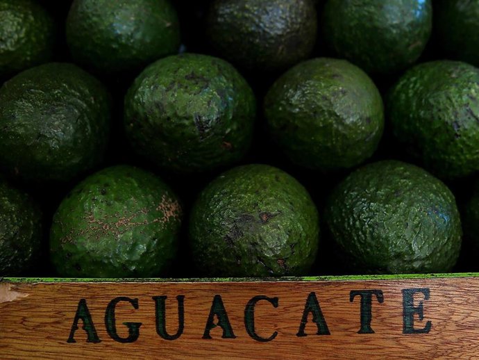 El aguacate es un superalimento con importantes beneficios para nuestra piel y nuestro cabello