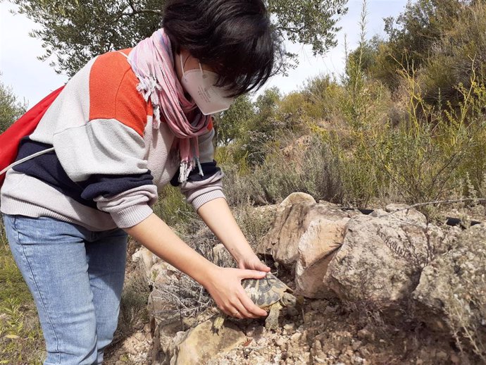 Endesa y Trenca liberan 30 tortugas mediterráneas en la reserva de Bovera (Lleida)