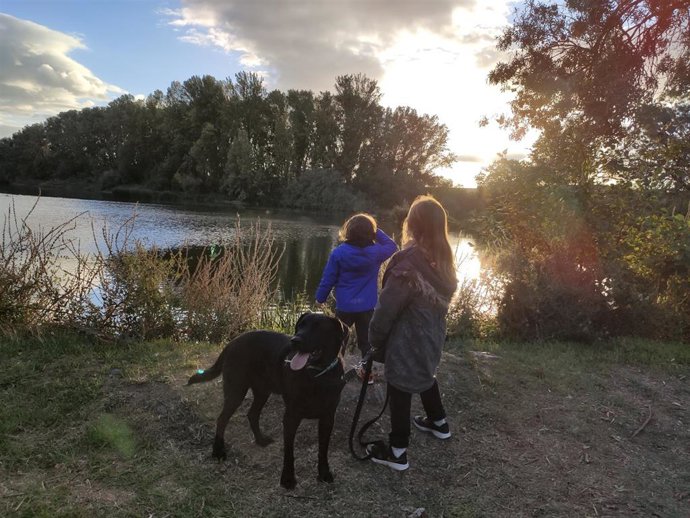 Dos niños pasean un perro.