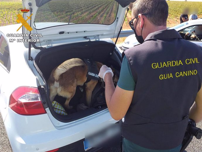 Perro de la Guardia Civil investigando un coche