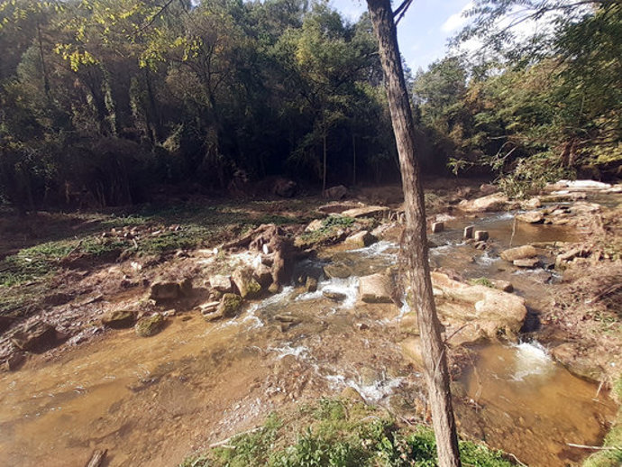 Riera de la Gavarresa (zona del Molí de la Coromina) després dels treballs. 27 d'octubre de 2020. (horitzontal)
