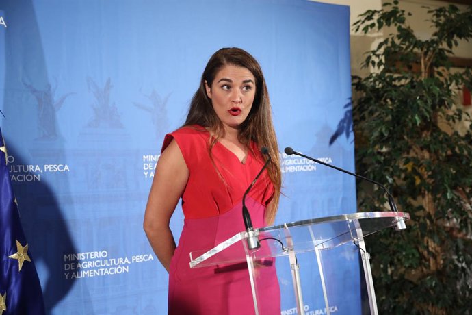 Coronavirus.- Moll advierte de que las investigaciones para detectar virus en a