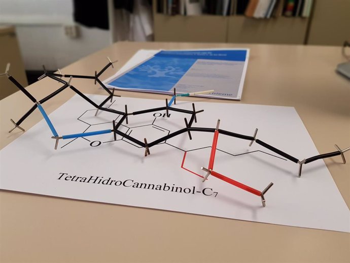 Simulación de una de las moléculas de tetrahidrocannabinol (THC) descubiertas por la Universitat Politcnica de Catalunya