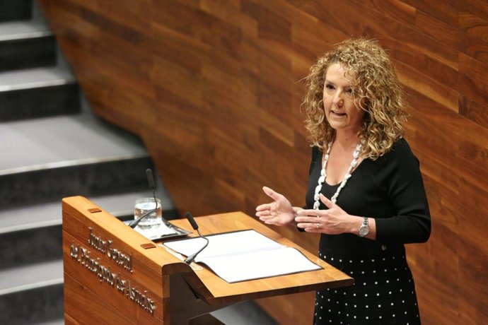 La presidenta del PP, Teresa Mallada.