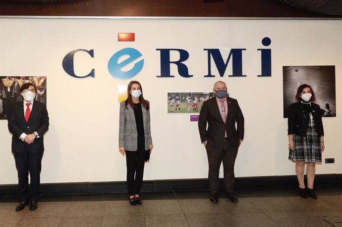 Cvirus.- CERMI expone a la Reina el impacto de la pandemia en las personas con d